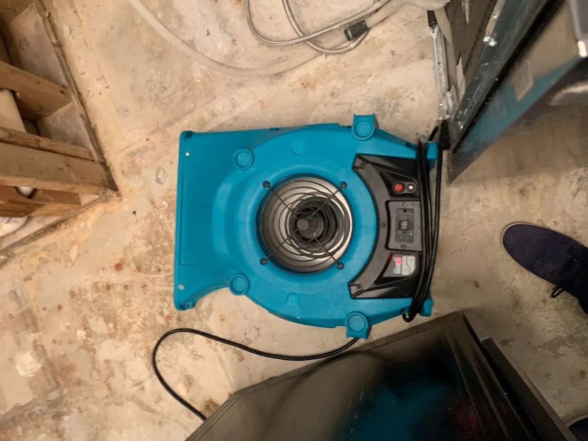 Air mover drying equipment for Mold Remediation & Removal in Cloverleaf